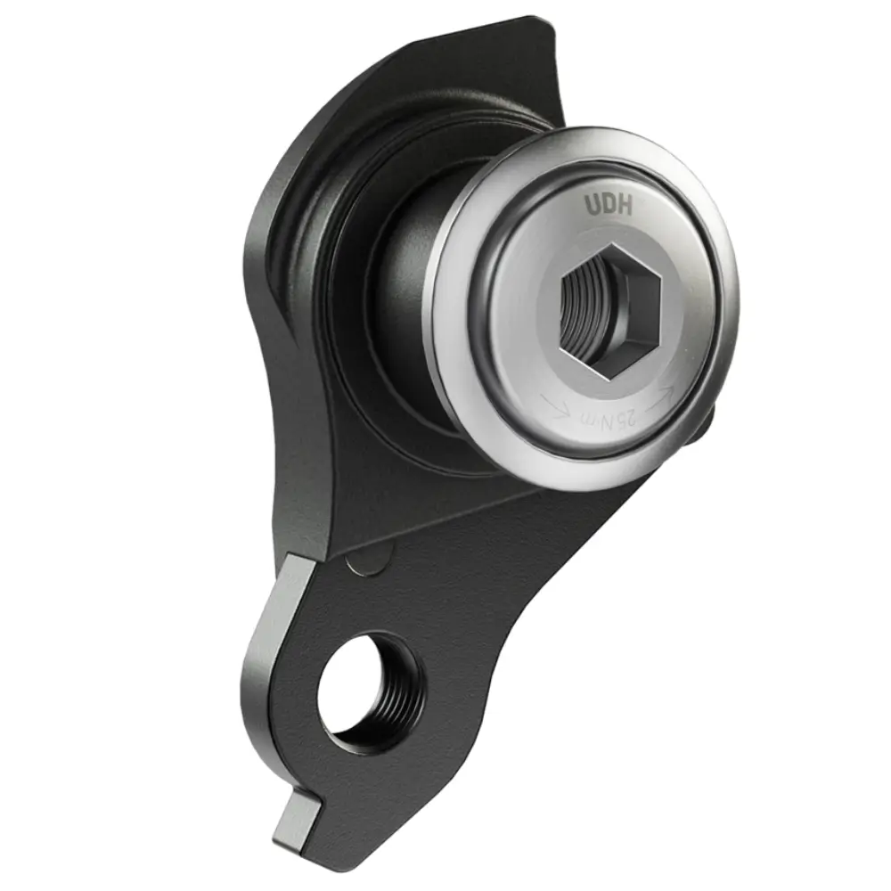 A silver SRAM Universal Derailleur Hanger (UDH) viewed from an angle